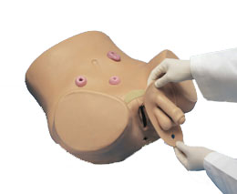 ������쯛�o��ģ�M�����Ժ�Ů��