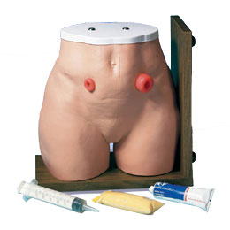 �쯛�g�o��ģ��