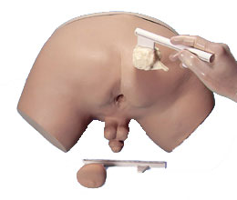 ǰ���ٙz��ģ�M