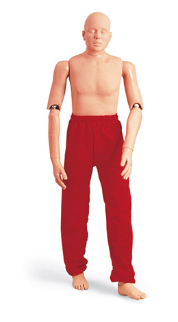 ����ģ����167cm/25kg