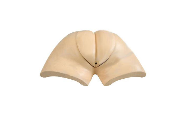 �߼����bʽ�˹�ȡ��Ӗ��ģ��