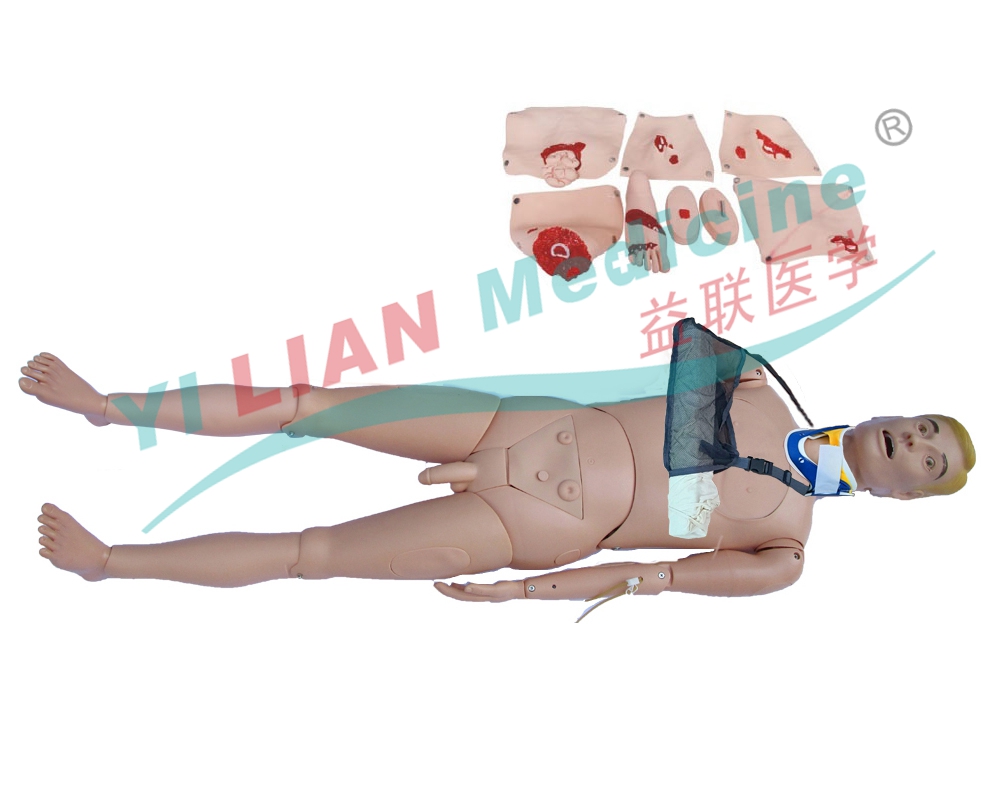  �挍�w��Ұ����A����ģ�M��