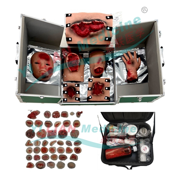 ����ʬFģ�M����