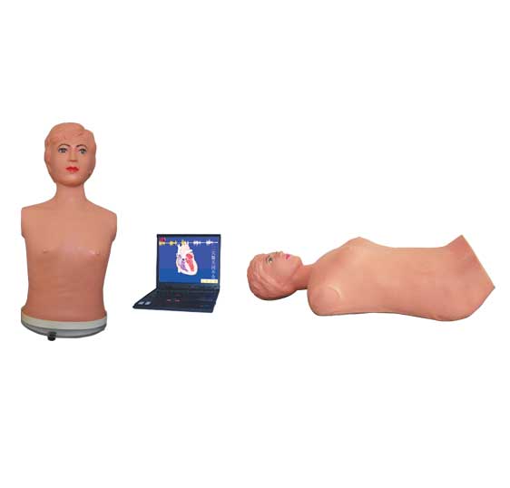 �o���W�j��ý�w�ظ����z��̌Wϵ�y(�̎��C)