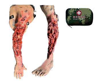 ����ʽ��ѪֹѪģ�MӖ����(��֫����֫��