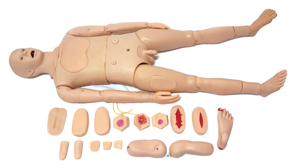 �߼�ȫ�����o����Ӗ��ģ�ͣ����ԣ�