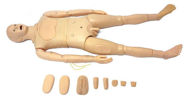 �߼����w��ǻ��̵���o��ģ����